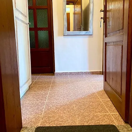 Family Argo 2* Warna